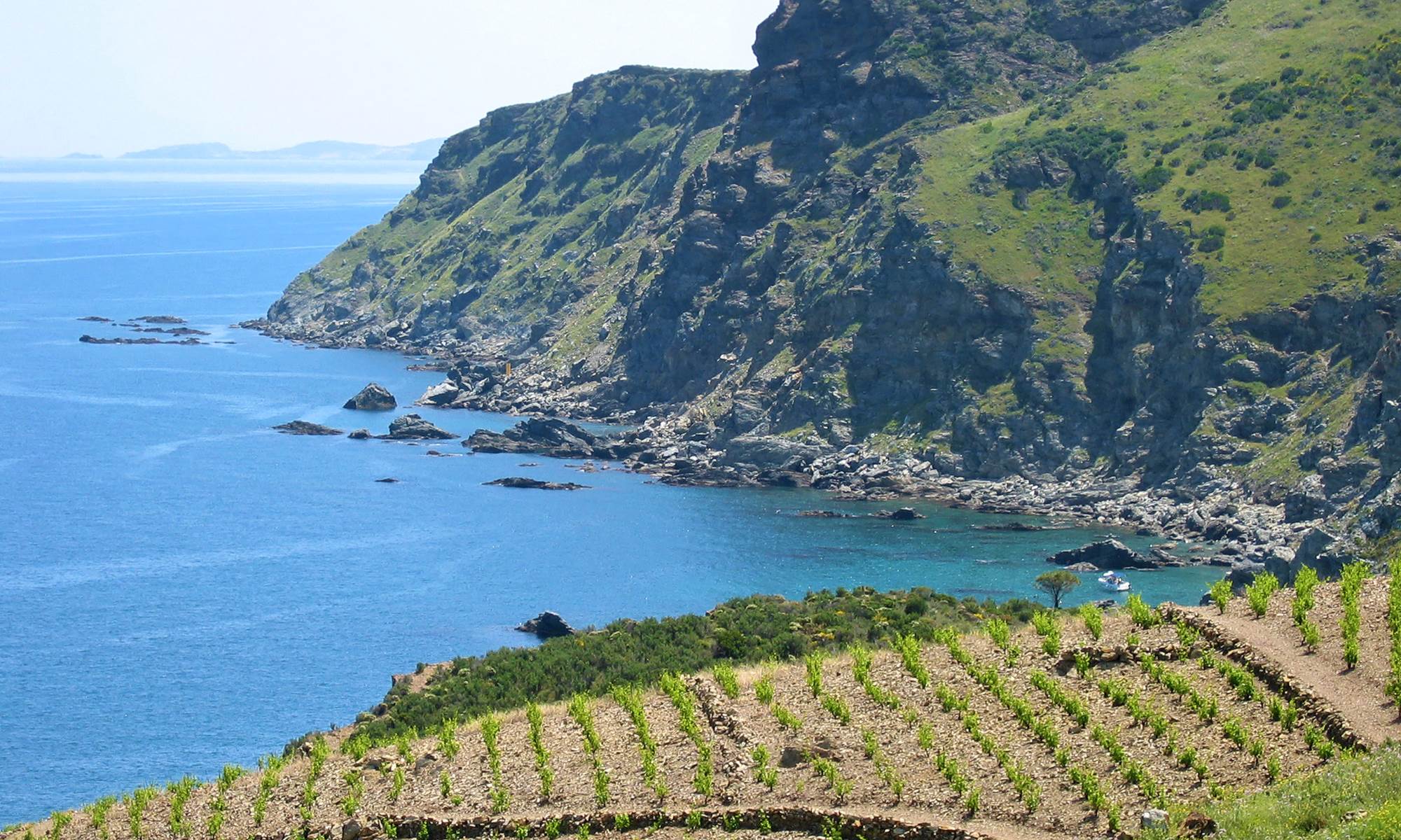 La Côte Vermeille est ses vignobles-galerie